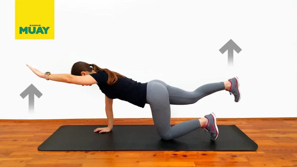 Extension bras-jambe en quadrupédie – stabilité et posture