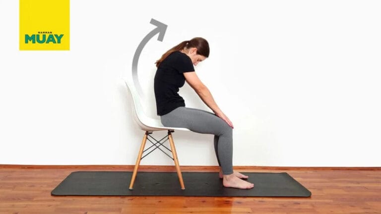 Chat/Chien assis : bienfaits, muscles sollicités et conseils pratiques